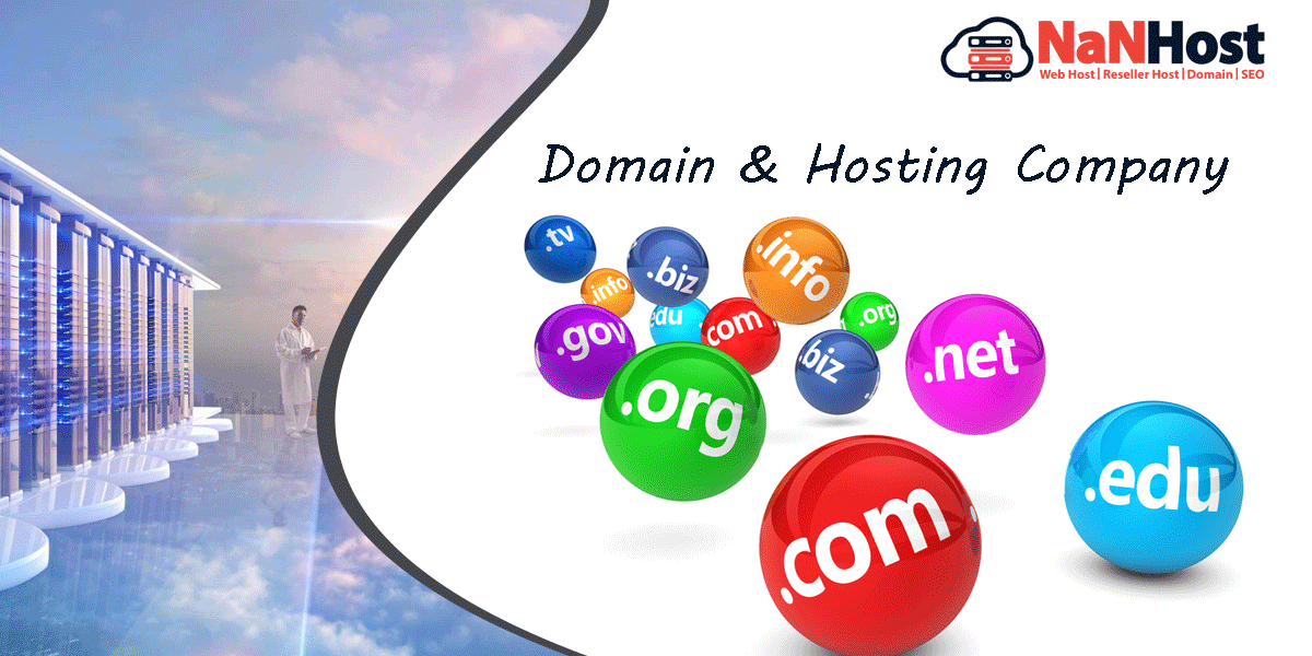 Domain & Hosting Company 